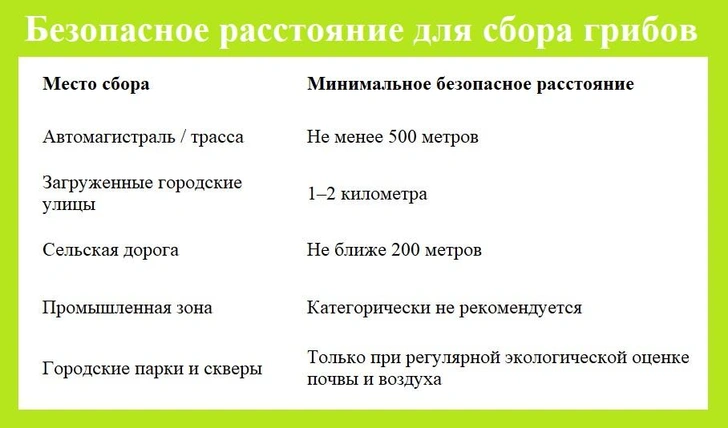 Источник: Элина Миронова