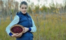 Идеально в холод: 4 рецепта из клюквы, которые позволят сохранить максимум витаминов