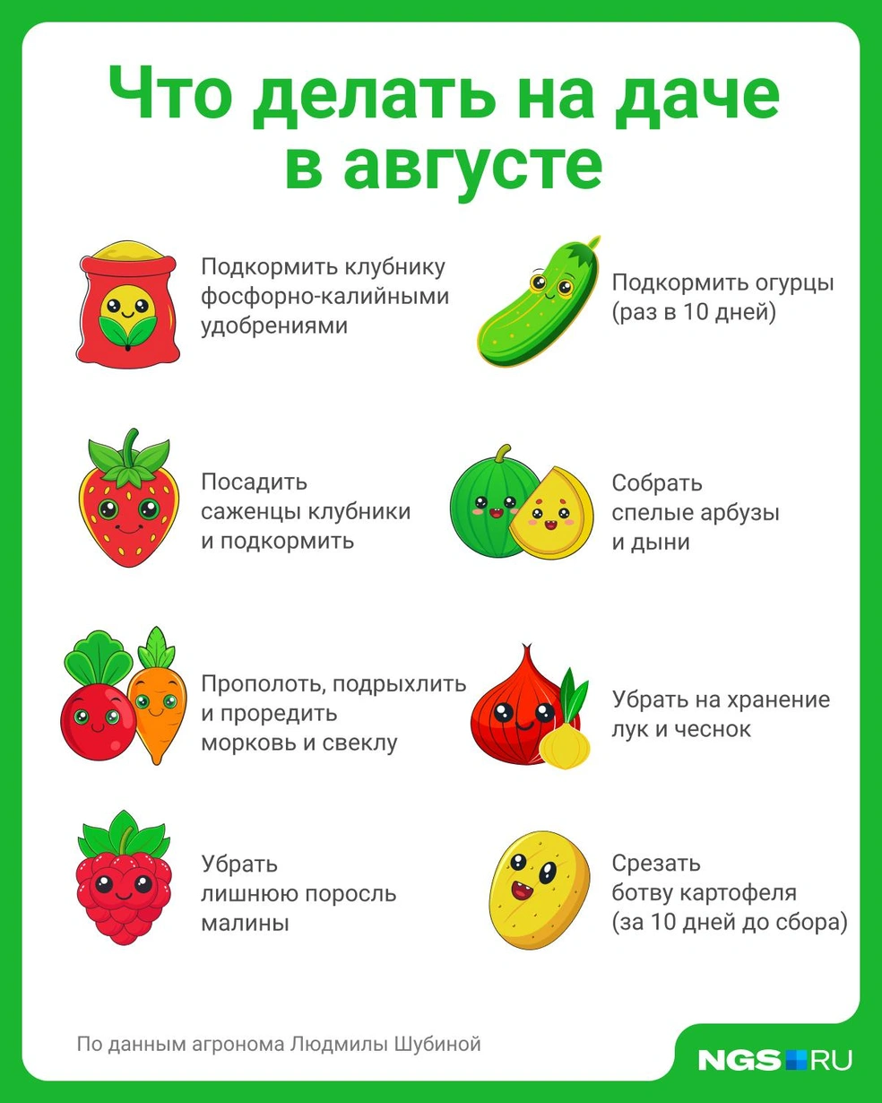 Август будет насыщенным на задачи | Источник: Юрий Орлов / Городские медиа