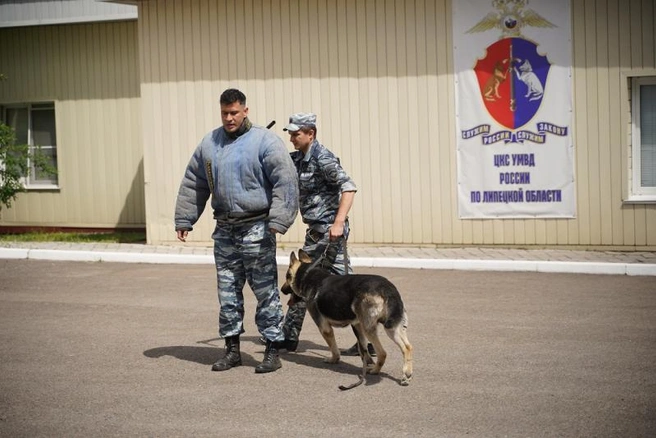 Источник: 48.xn--b1aew.xn--p1ai