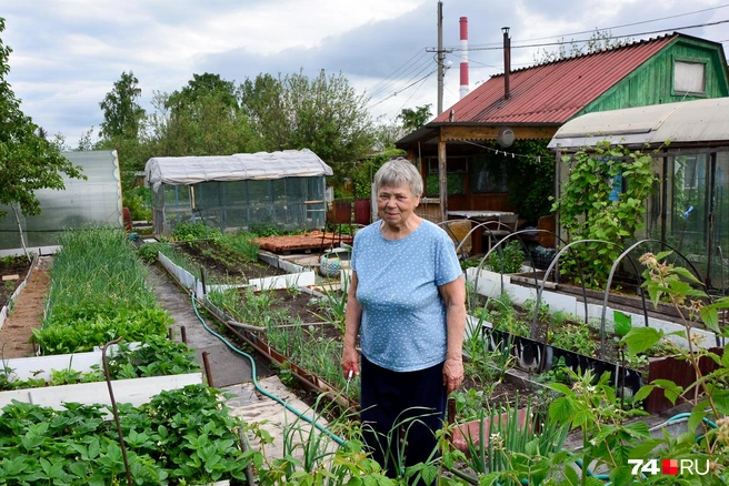 Мария Андреевна и ее участок. Он находится почти прямо под ЛЭП, но линия электропередачи появилась позже, чем участок был выделен и застроен | Источник: Артем Краснов