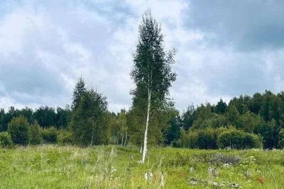 Оперативные службы работают на месте падения БПЛА в двух районах