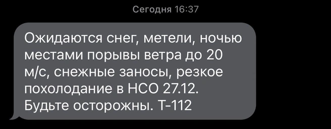 Предупреждения рассылают по СМС | Источник: НГС