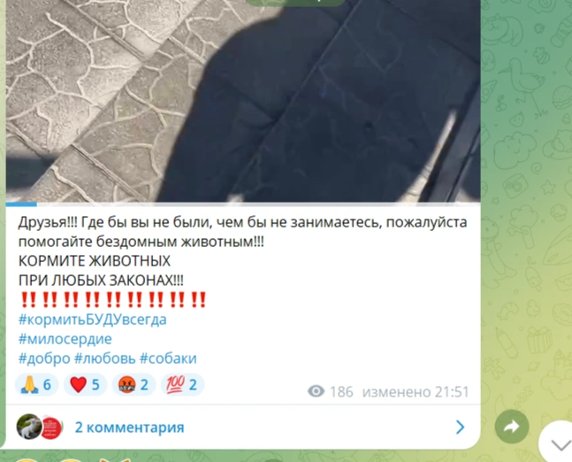 Источник: Скриншот из социальных сетей Эллы Игнат