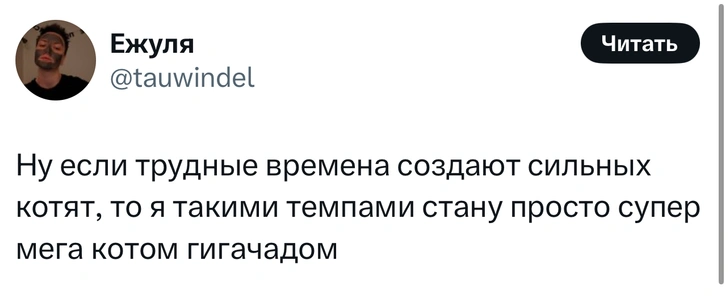 Источник: X (Twitter)