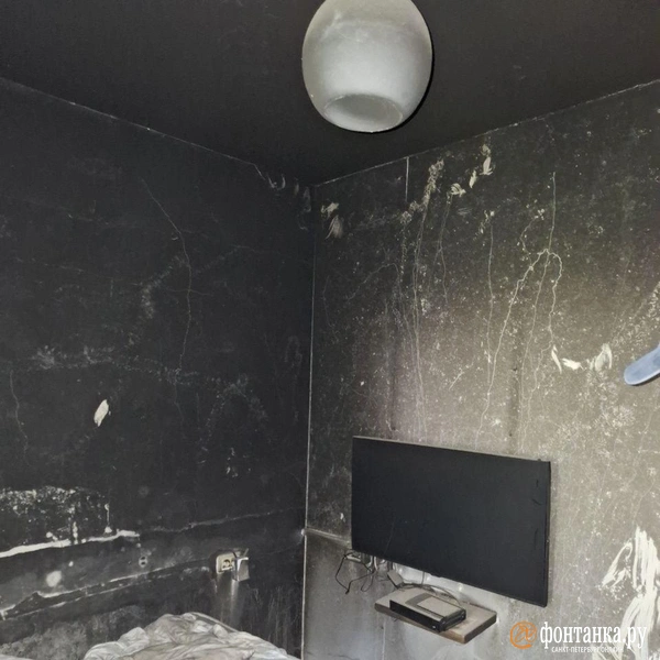 Источник: Ирина Багликова / «Фонтанка.ру»