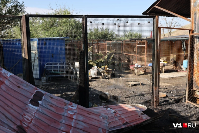 Ущерб от огня придется восстанавливать далеко не один день | Источник: Алексей Волхонский / V1.RU