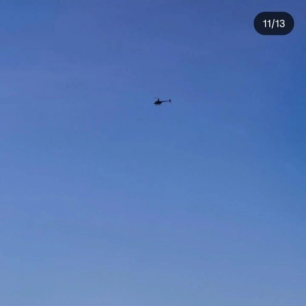 Источник: starshembaum / Instagram (экстремистская организация, деятельность запрещена на территории РФ)