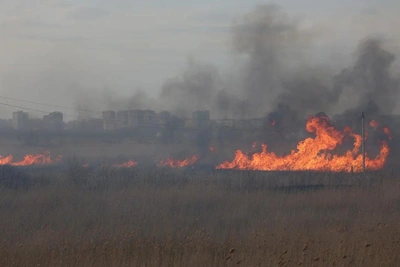 Пожар камышей на Левобережье Омска