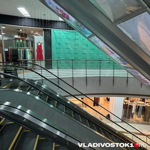 Источник: Елена Буйвол / VLADIVOSTOK1.RU