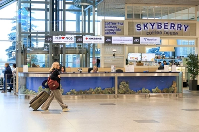 Domodedovo Airport for Sale Again as Rivals Circle