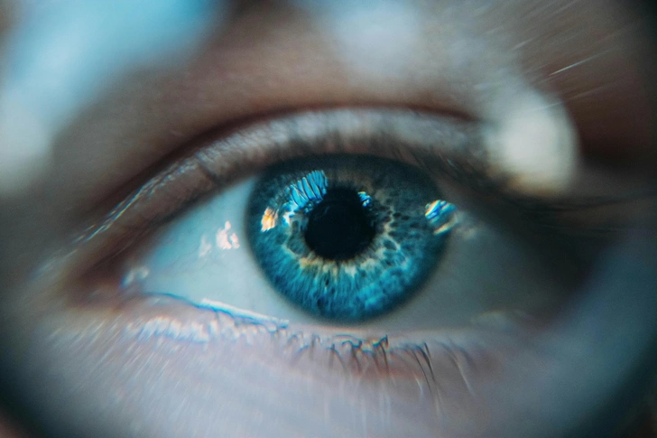 Ученые открыли новый цвет 2025 | Источник: Unsplash 
