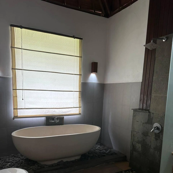 Источник: Villa for Rent in Bali / Telegram