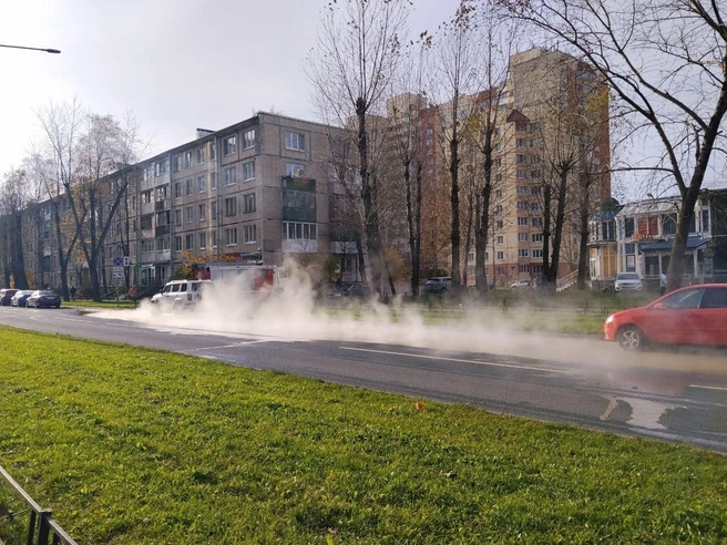 Горячая вода разлилась по проезжей части | Источник: читатель «Фонтанки»