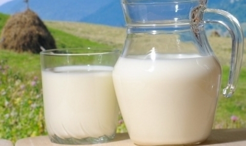 Как выбрать правильное молоко в петербургских магазинах