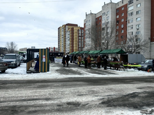 На каждой из четырех площадок разместят знакомые зеленые лотки для торговли. | Источник: Павел Красоткин / 72.RU