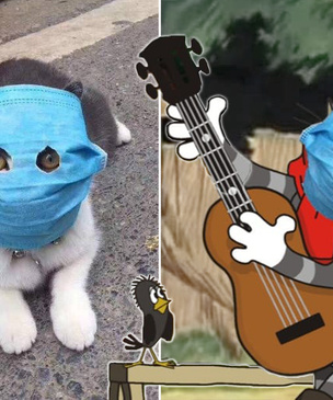 Китайский кот в маске от коронавируса стал героем фотожаб