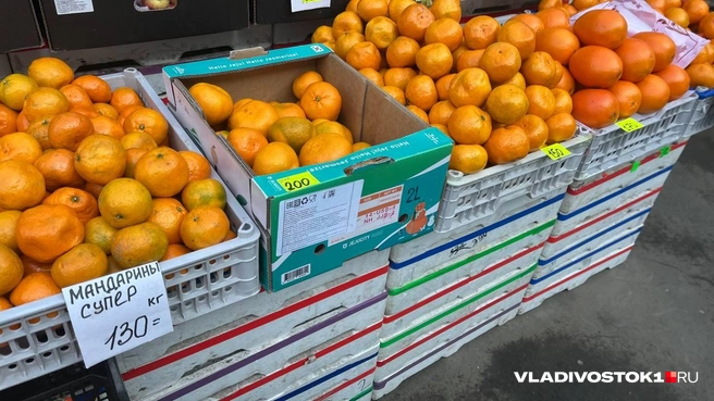 Источник: Елена Буйвол / VLADIVOSTOK1.RU