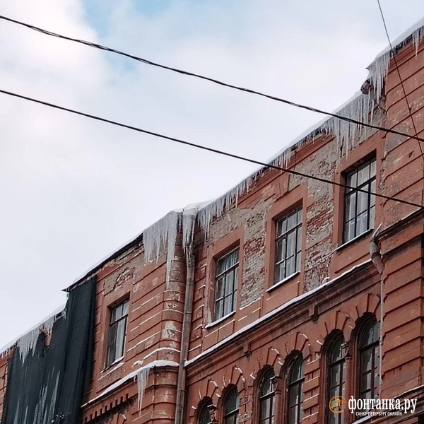Источник: читатель «Фонтанки»