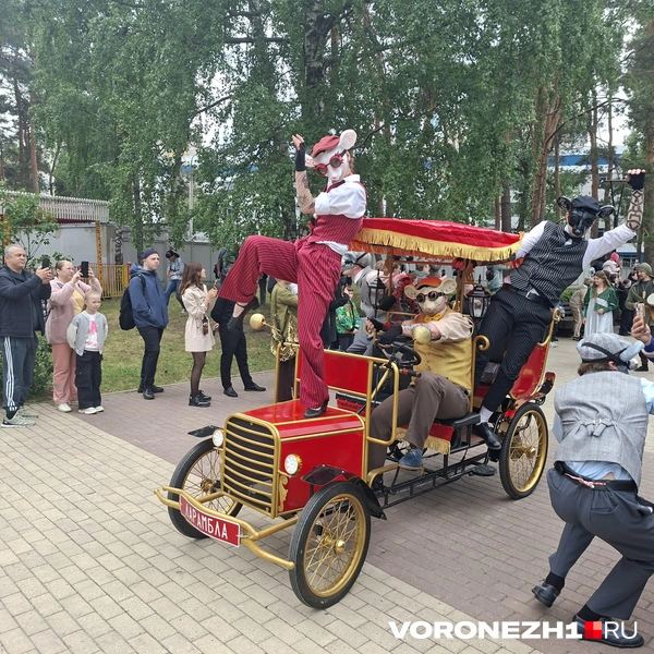 Источник: Алёна Воропаева / Voronezh1.ru