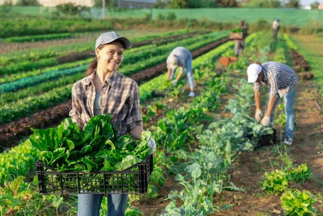 Источник: Shutterstock.com
