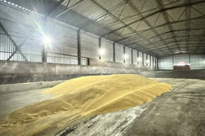 Полиция нашла похитителя 132 тонн семян ячменя