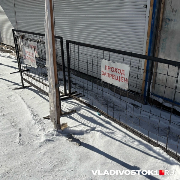 Источник: Елена Буйвол / VLADIVOSTOK1.RU