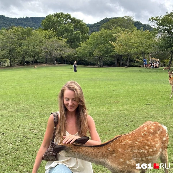 Олени — священные животные в Японии | Источник: читатель 161.RU