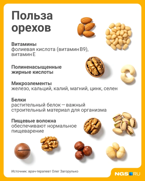 Людям с избыточным весом не стоит злоупотреблять орехами в рационе | Источник: Юрий Орлов / Городские порталы