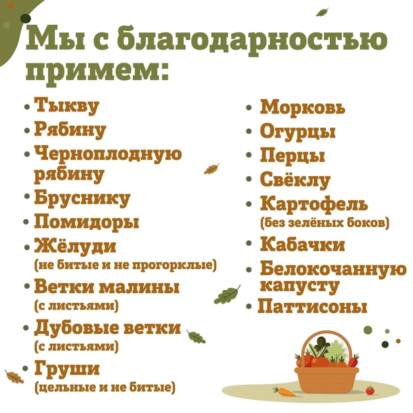 Источник: Ленинградский зоопарк