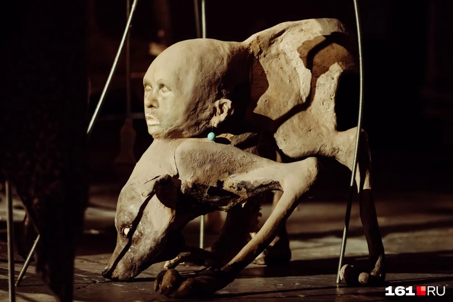 Источник: Евгений Вдовин / 161.RU