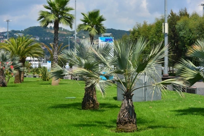 На майские россияне выбирают Анапу и Крым вместо Сочи