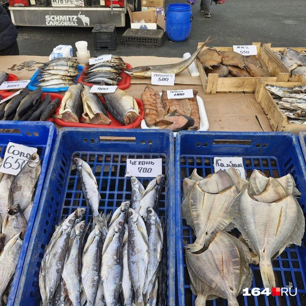 Рабы на любой вкус  | Источник: Виктория Федорова / 164.RU