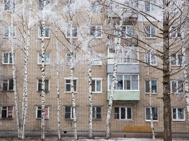 Февраль принес более низкие температуры, на деревьях даже появилась изморозь. | Источник: Кирилл Поверинов / 76.RU
