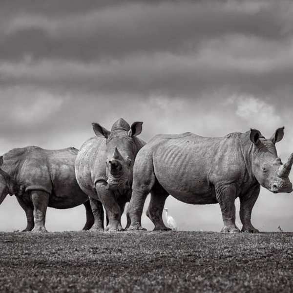 Источник: Preeti &amp; Prashant Chacko / Exposure One Awards 2025