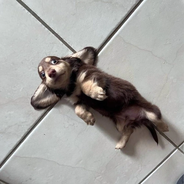 Источник: соцсети