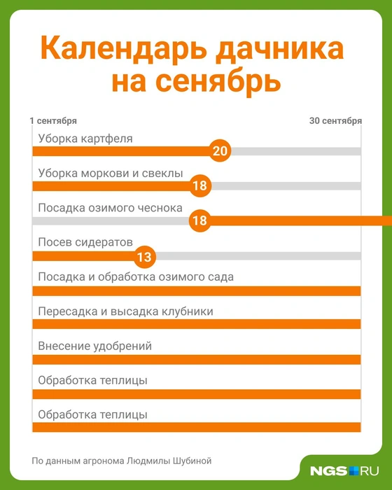Источник: Юрий Орлов / Городские медиа