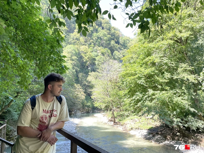 Любители природы должны посетить Тисо-самшитовую рощу | Источник: Кирилл Поверинов / 76.RU