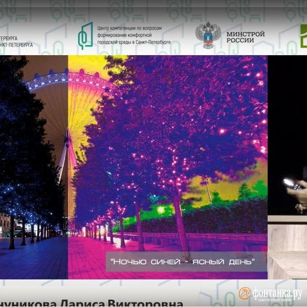 Источник: Трансляция комитета по благоустройству