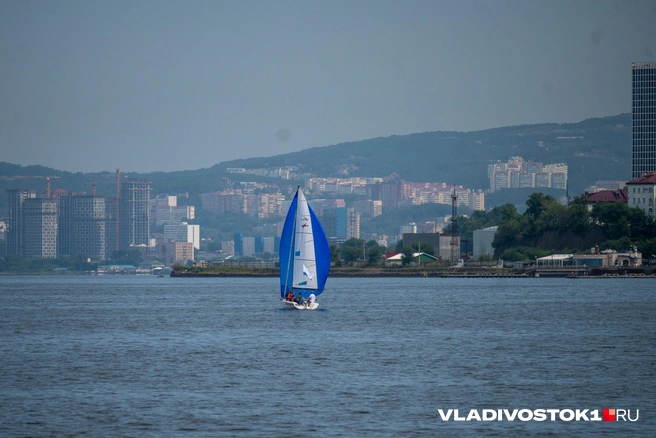 Источник: Елена Буйвол / VLADIVOSTOK1.RU