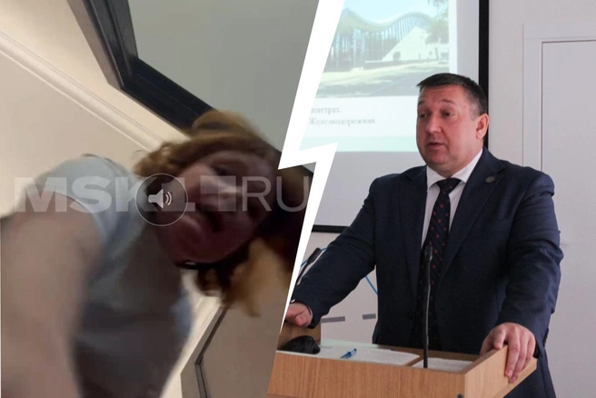 Депутат Мосгордумы обвинил свою бывшую жену в побоях | Источник: предоставлено Анной Потаповой / MSK1.RU; miit.ru