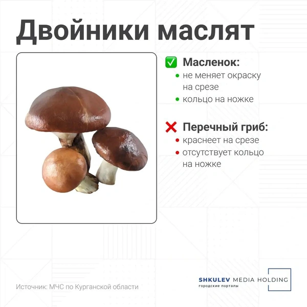 Источник: Серафима Пантыкина / Городские порталы