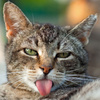 userpic__злобный пупсик