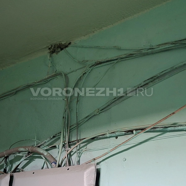 Источник: Алёна Воропаева / Voronezh1.ru