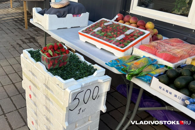 Источник: Елена Буйвол / VLADIVOSTOK1.RU