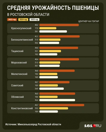 Источник: Мария Романова / 161.RU