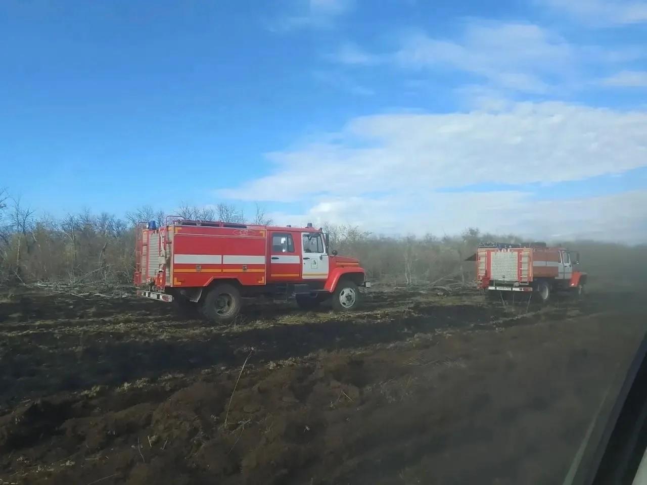 В Самарской области два дня тушили пожар около жилого поселка