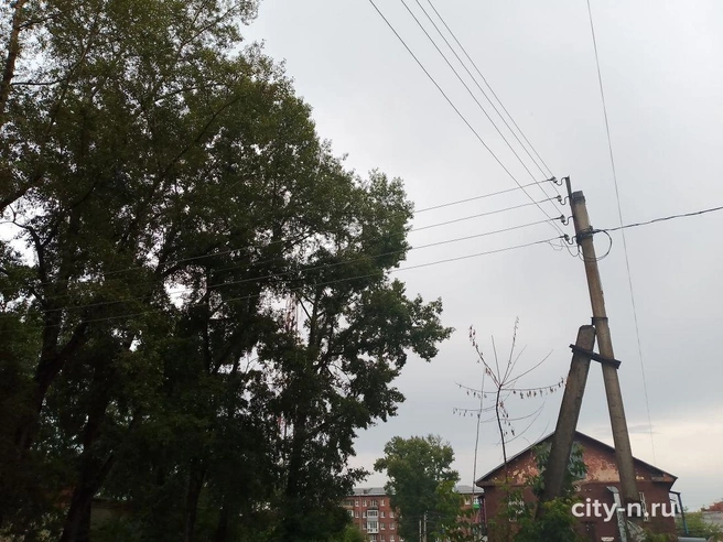 Источник: city-n.ru