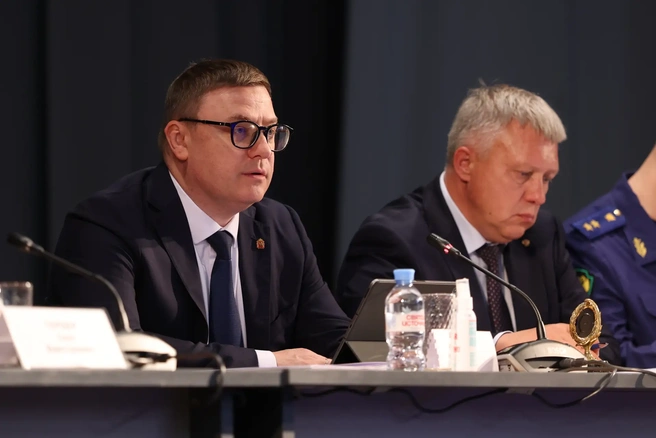 Источник: пресс-служба правительства Челябинской области 