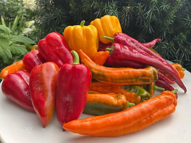 Чтобы почувствовать вкус лета даже зимой, достаточно выполнить пару простых шагов | Источник: Дачница на Волге Наталья / Vk